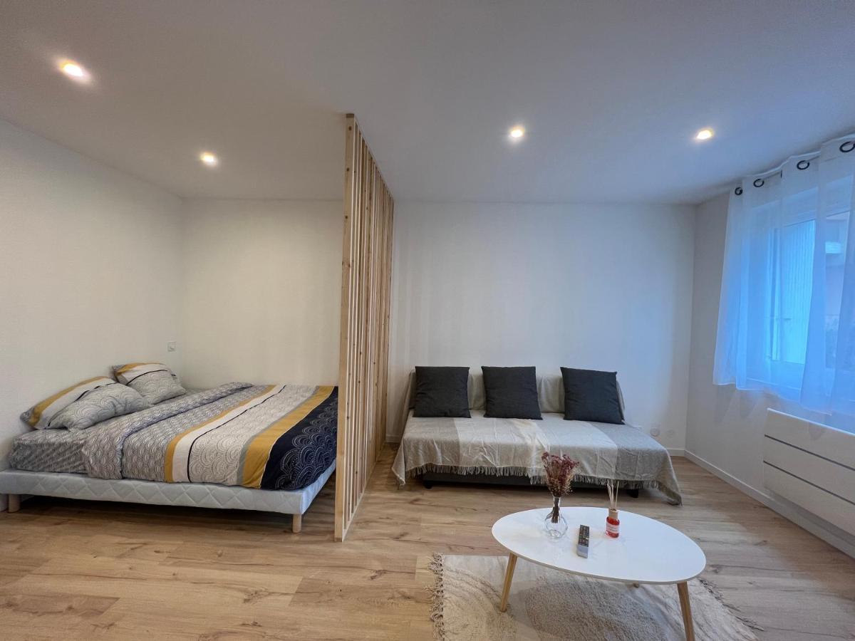 Apartamento Le Petit Sauveur - Studio & Parking Toulouse Exterior foto
